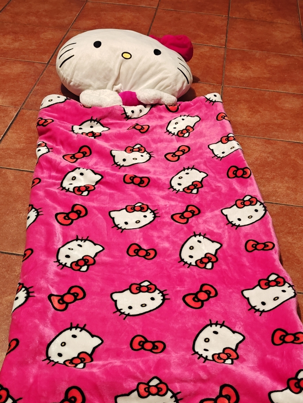 Hello Kitty Pink Plush Kids Sleeping Bag with Pillow